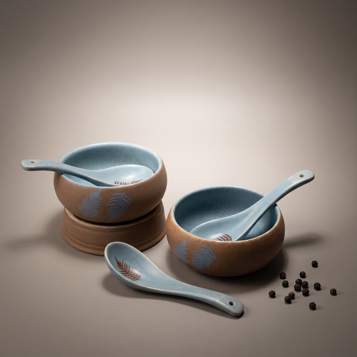 Dual Tone soup bowls with spoons (set of 4)