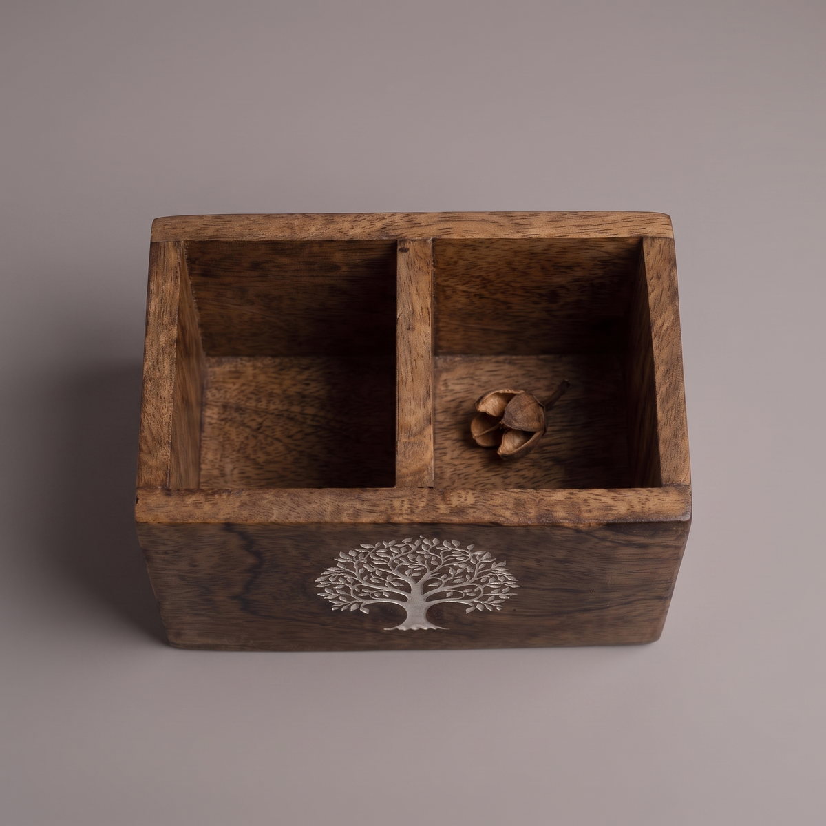 White Tree of Life remote box